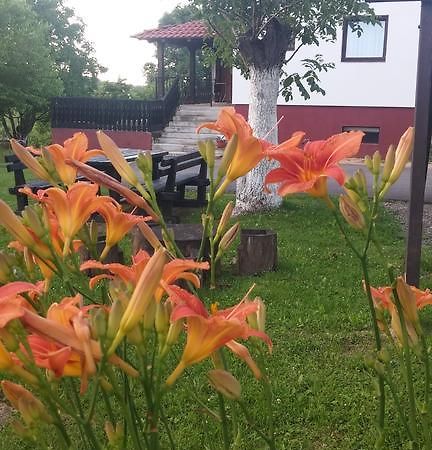 سوملجاناك Guest House Antonela المظهر الخارجي الصورة