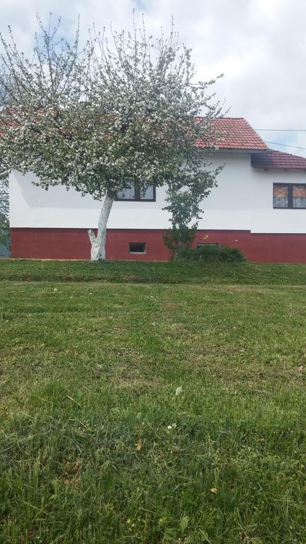 سوملجاناك Guest House Antonela المظهر الخارجي الصورة